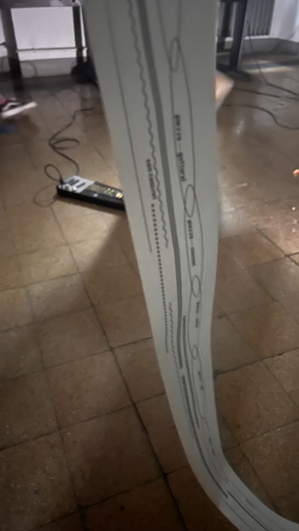 BIP – Performing Sound in Visual Arts - Holobionte